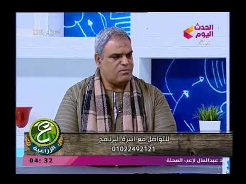 مدير عام نقابة الفلاحين يكشف الشروط الواجب توافرها للمشاركة فى مشروع الـ 20 ألف فدان