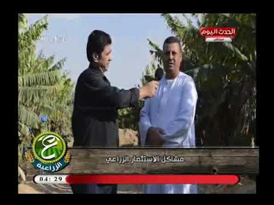 أحد مزارعي الموز يستغيث عالهواء بعد انهيار محصوله وانخفاض سعر البيع ويوجه رسالة قوية للرئيس
