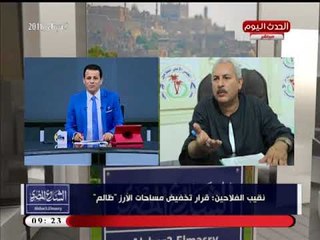 نقيب الفلاحين: قرار تخفيض مساحات زراعة الأرز "ظالم وغير مدروس"