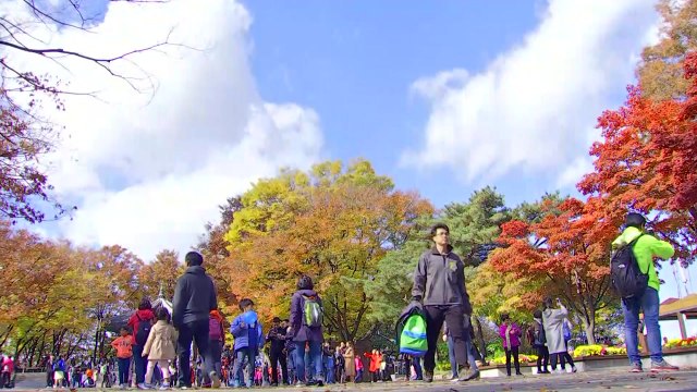 [날씨] 주말 구름 많고 쌀쌀...도심도 단풍 절정 / YTN