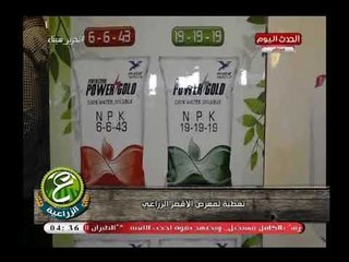 كاميرا "ع الزراعية" فى تغطية خاصة لمعرض الاقصر الزراعي فى جانب شركة فيركيم مصر للأسمدة والمبيدات