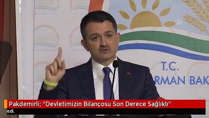 Pakdemirli- 'Devletimizin Bilançosu Son Derece Sağlıklı'