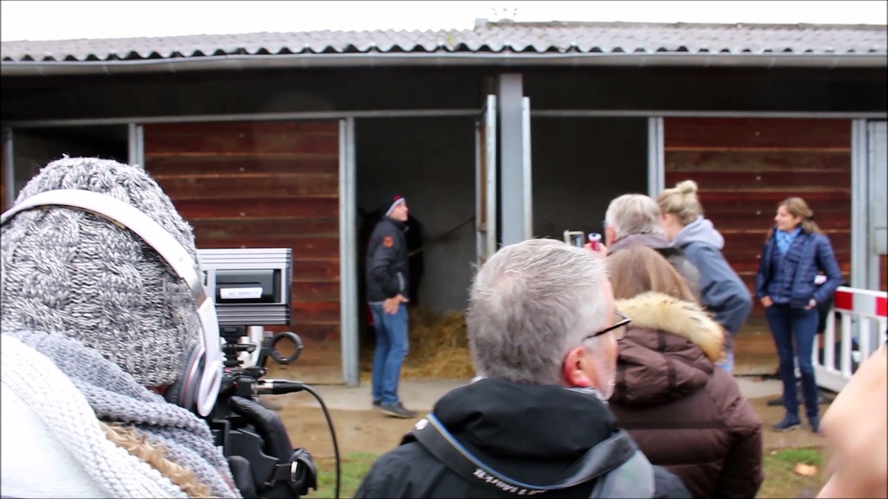 Les premiers pas de Bold Eagle à l'hippodrome de Feurs