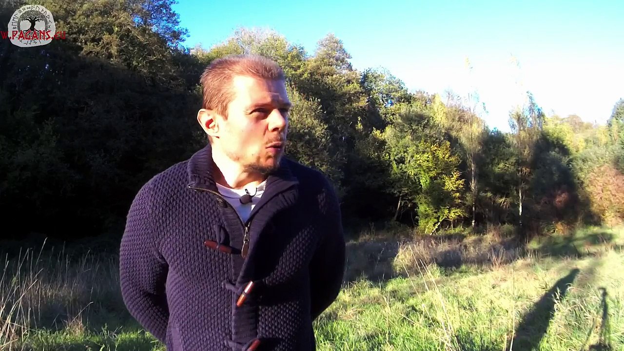 ONFRAY attaque les VIKINGOLOGUES ! Enfin la vérité ?