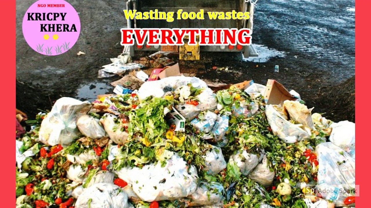 Kricpy Khera NGO - Say No To Food Waste and Electricity