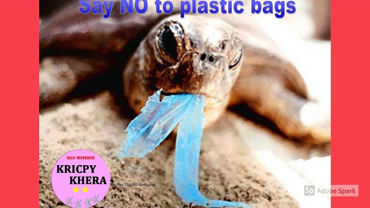 Kricpy Khera - Say  No To Plastic Bag