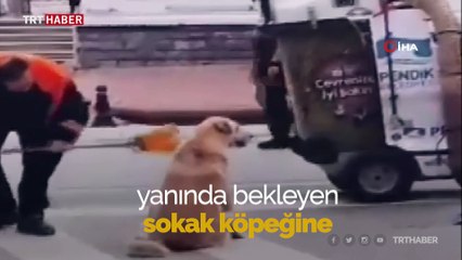 Süpürgesiyle sokak köpeğine hem masaj yaptı hem temizledi