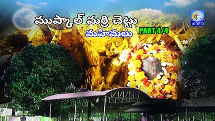 ముప్కాల్ మర్రి చెట్టు మహిమలు - MUPKAL MARRI CHETTU MAHIMALU PART 4_4 NEW QVIDEOS