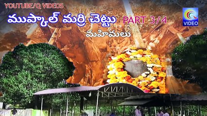 ముప్కాల్ మర్రి చెట్టు మహిమలు - MUPKAL MARRI CHETTU MAHIMALU PART 3_4 NEW QVIDEOS