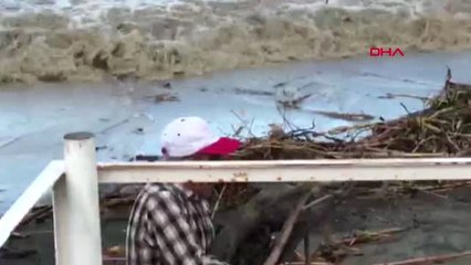 Hatay Sahilden Kışlık Odun Topladılar