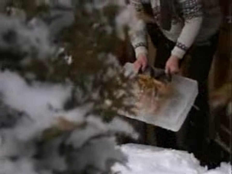 Lass deine Schuhe nicht draussen stehn...