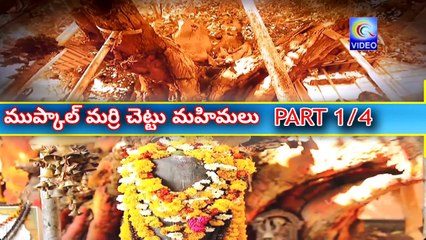 ముప్కాల్ మర్రి చెట్టు మహిమలు - MUPKAL MARRI CHETTU MAHIMALU PART 1_4 NEW QVIDEOS