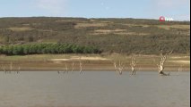 Sazlıdere Baraj Gölünde Kuşların Dansı Kamerada