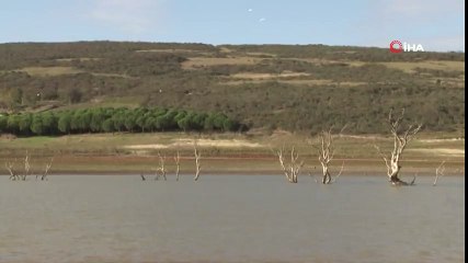 Sazlıdere Baraj Gölünde Kuşların Dansı Kamerada