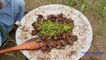 Tawa Kaleji - Stir Fry Liver Recipe by Mubashir Saddique - Village Food Secrets