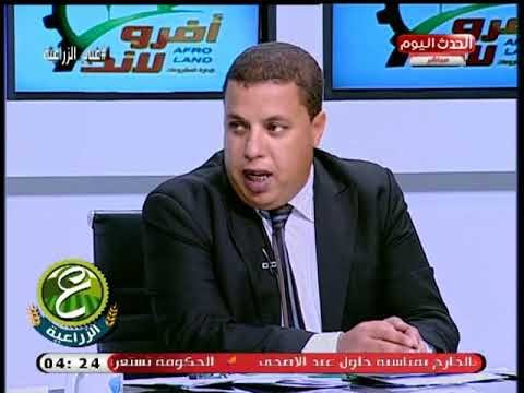 مستثمر بترعة الحمام بالعلمين يتقدم ببلاغ للنائب العام ويكشف تفاصيل خطيرة عن اعمال بلطجة بالارض