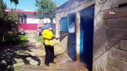 Şanlıurfa’da at ölümleri sonrası ilaçlama çalışması başlatıldı