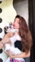 Funny sexy video
