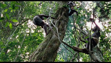 forest-of-the-dancing-spirits-english-version