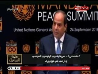 سيد علي يكشف تفاصيل اجتماعات الرئيس السيسي خلال زياراته للأمم المتحدة