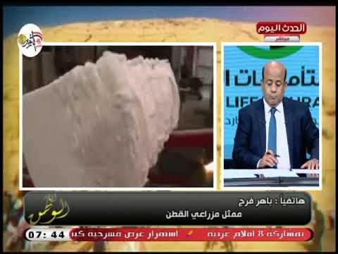 ممثل مزارعي القطن يكشف سبب رفض الحكومة لاستلام محصول القطن من الفلاحين