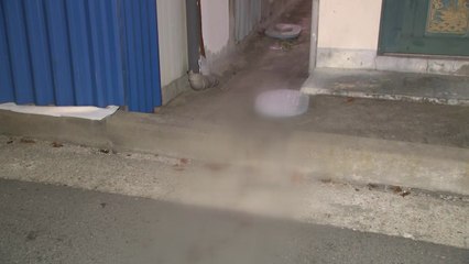 흉기로 행인 2명 찌른 조현병 환자 구속 / YTN