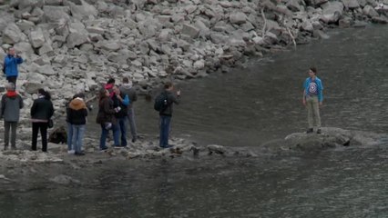 Дунай показал свои сокровища