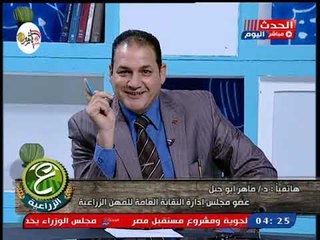 عضور النقابة العامة للمهن الزراعية يكشف تفاصيل مبادرة رش الشوراع من الحشرات والنموس