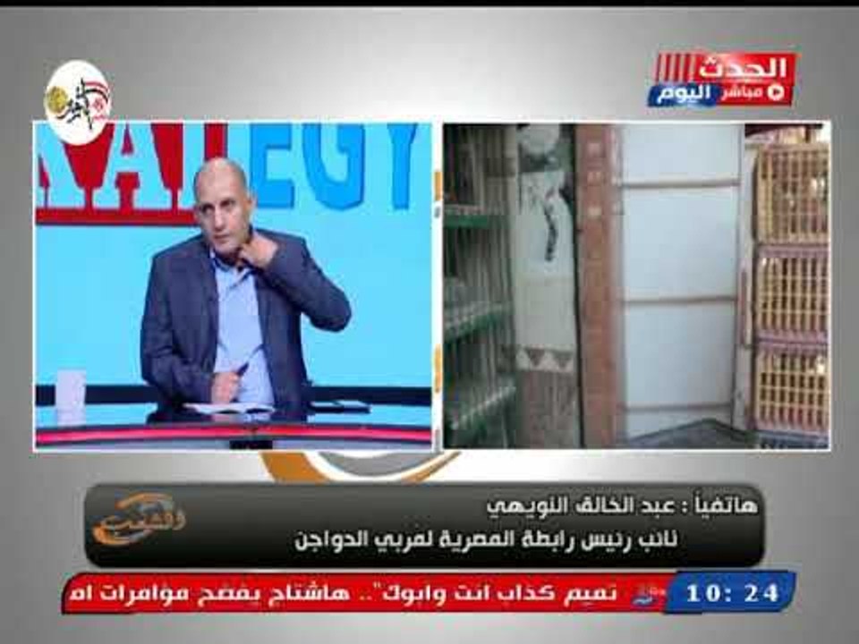 رئيس رابطة مربي الدواجن عن قرار منع تداول الدواجن الحية: المخرج الوحيد لصناعة الدواجن