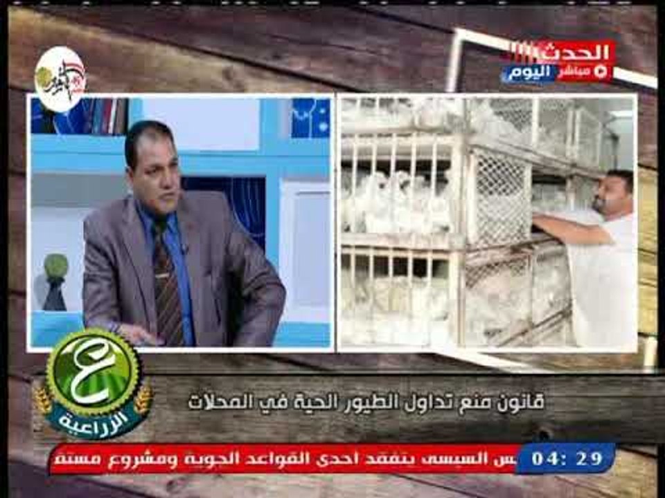 عضو النقابة العامة للزراعيين  يكشف اسباب تطبيق منع تداول الدواجن الحية بالاسواق ويوضح الاهداف