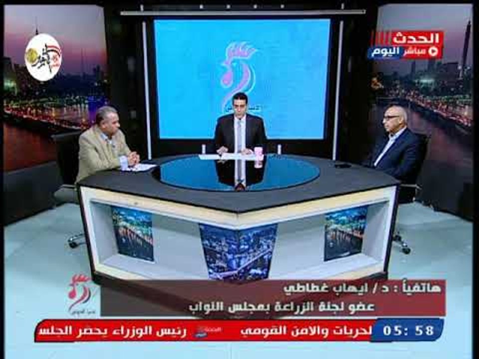 النائب ايهاب غطاطى عن  اعفاء 100 الف طن من الدواجن من الجمارك: قرار صائب ولدينا عجز