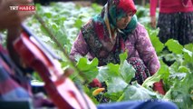 10 yıl önce yürüme ve görme yetisini kaybetse de kemanını bırakmadı