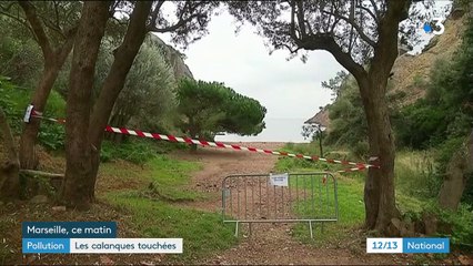 Pollution aux hydrocarbures : les calanques de Marseille touchées