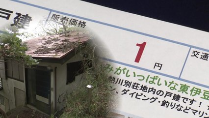 바다 보이는 日 별장, '단돈 10원'에 매물로 나온 이유 / YTN