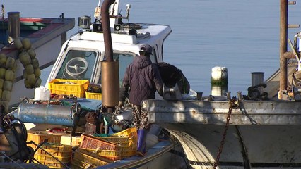 백령도 북방 "현대판 해적 중국어선"에 무방비 / YTN