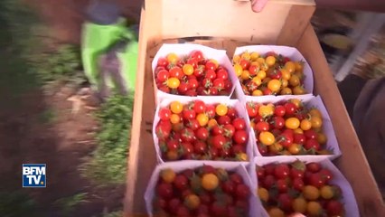 Moribond dans les années 70 Trémargat est devenu le village idéal