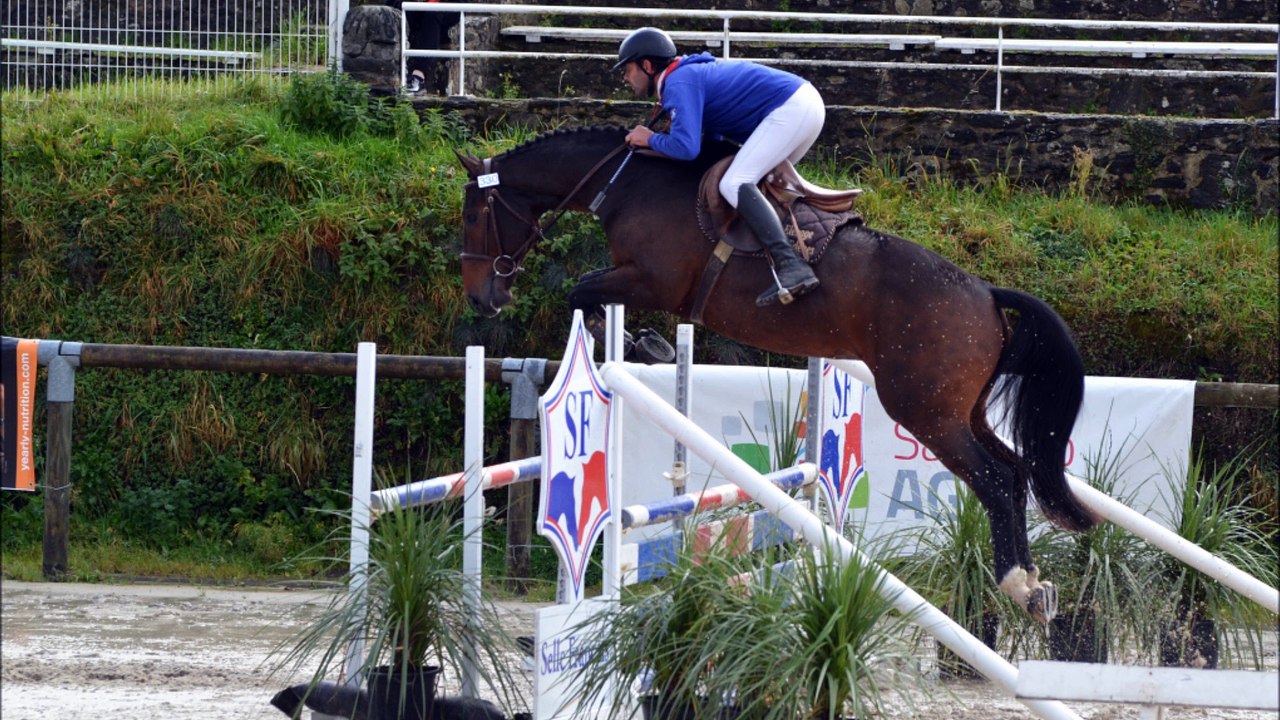Falkho des  Edènes. Championnat de France des Etalons. Saut monté