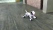 simulation crabs rc animal 2 4g radio robot animal smart dog remote control toy intelligent electronic