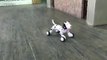 simulation crabs rc animal 2 4g radio robot animal smart dog remote control toy intelligent electronic