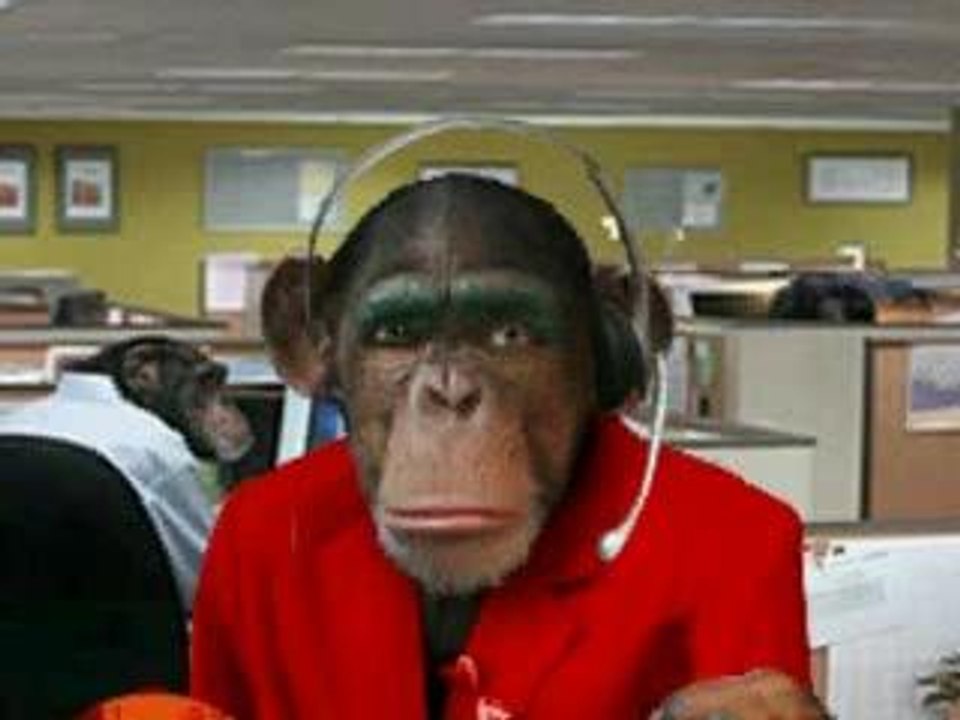 singe2_NEW
