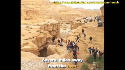 You won't believe this desert miracle / आप इस रेगिस्तान चमत्कार पर विश्वास नहीं करेंगे