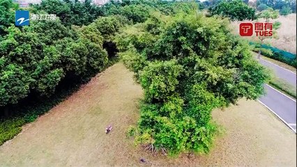 任务3：带小猪去美容《神奇伙伴在哪里》EP8 20181026 精彩花絮[浙江卫视官方HD]