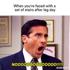 When you're faced with a set of stairs after leg day