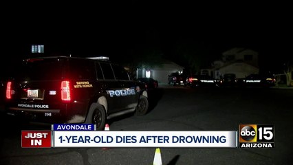 Young boy dies at hospital after being pulled from Avondale pool