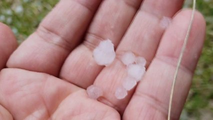 수도권 곳곳에 지름 1.3cm 우박 쏟아져 / YTN