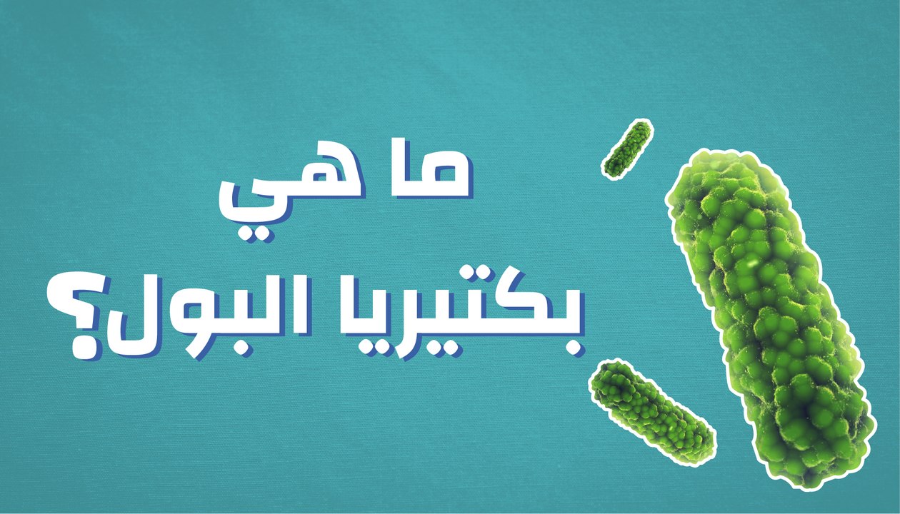 ما هي بكتيريا البول