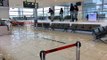 Penang airport flooded again - 'unusually heavy' downpour blamed