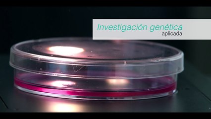 OncoHealth Institute, una nueva forma de abordar la lucha contra el cáncer