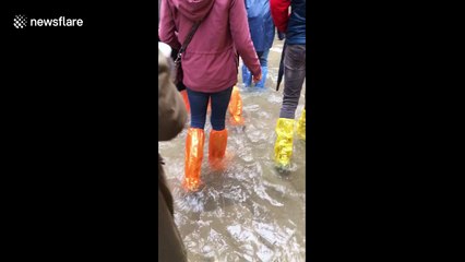 Venice submerged as flood waters take the city by storm