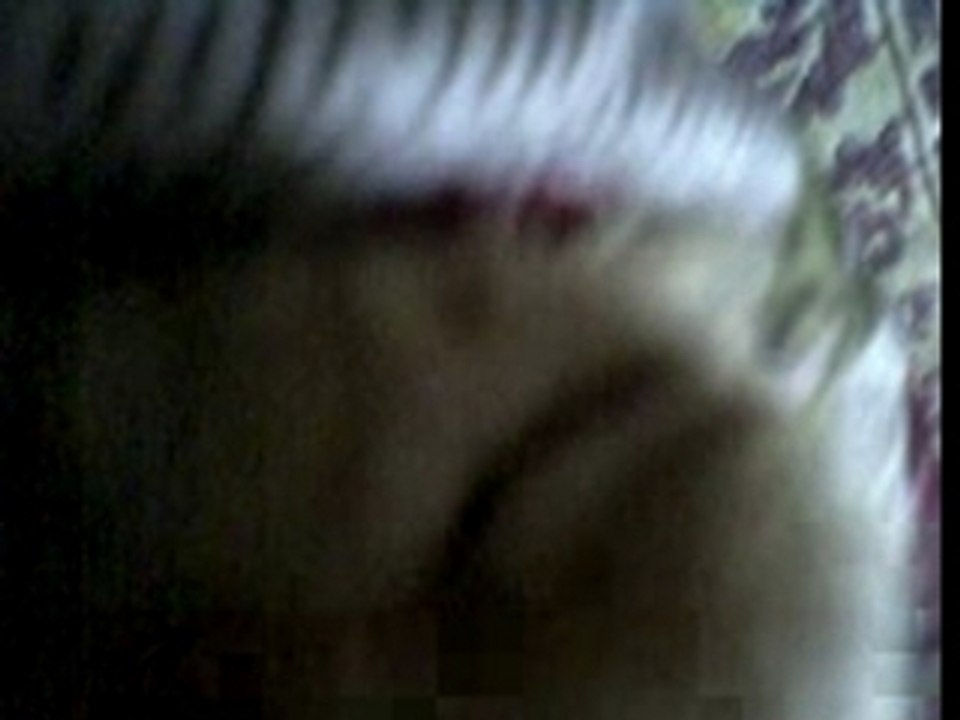 Comment dort mon chat